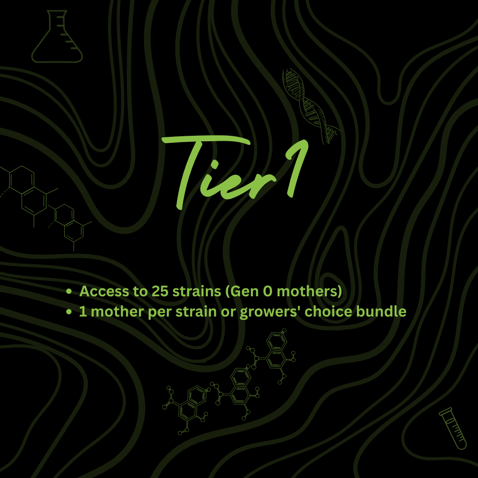 Tier 1