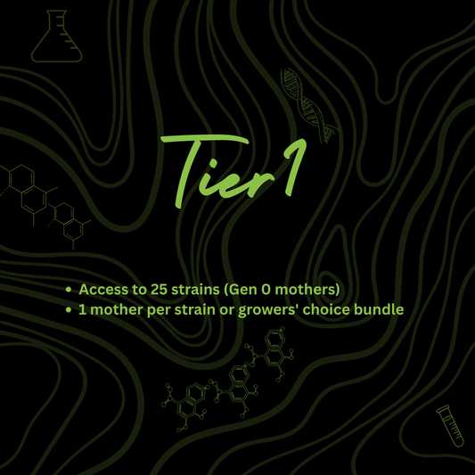 Tier 1
