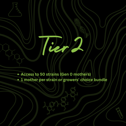 Tier 2
