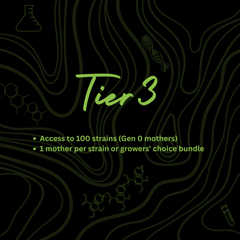 Tier 3