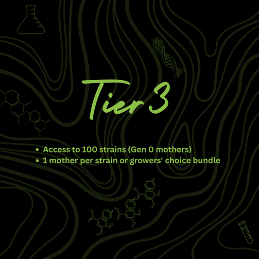 Tier 3